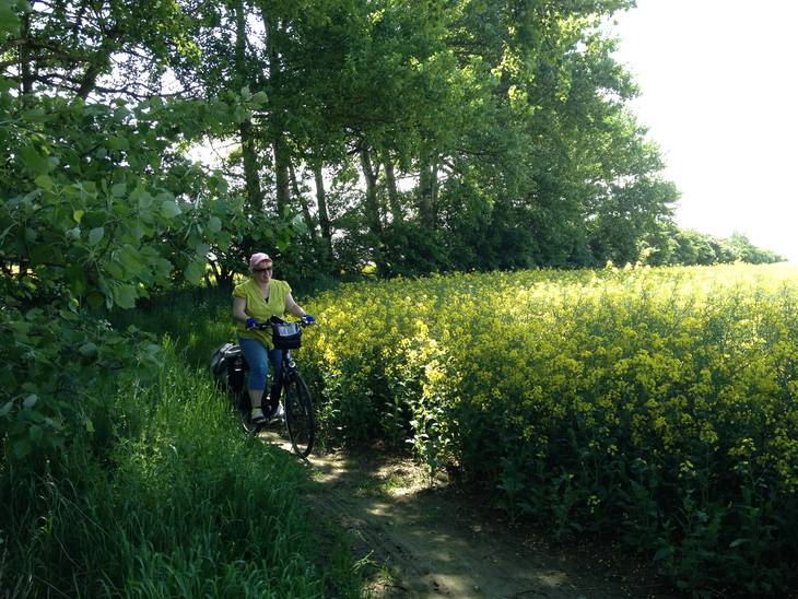Frau fährt Fahrrad auf Fehmarn